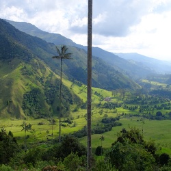 Colombia